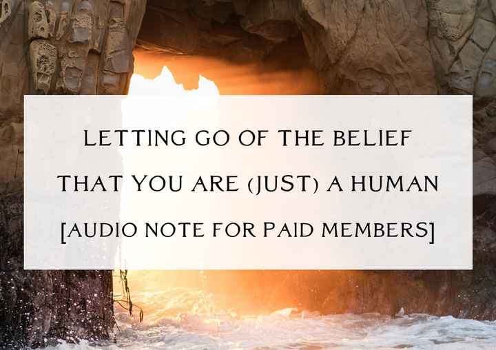You Are Standing at the Doorway of Letting go of the Belief that You Are (Just) a Human [Audio Note]